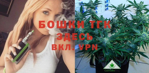 PSILOCYBIN Бугульма