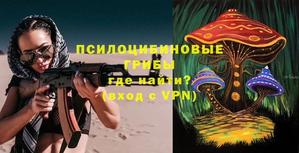 PSILOCYBIN Бугульма
