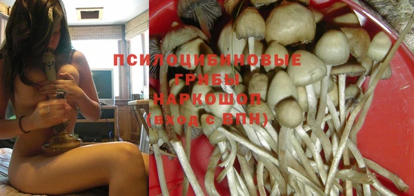 марки nbome Бородино