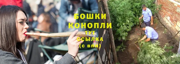 PSILOCYBIN Бугульма