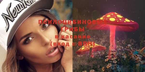 трава Бронницы