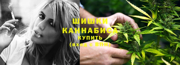PSILOCYBIN Бугульма