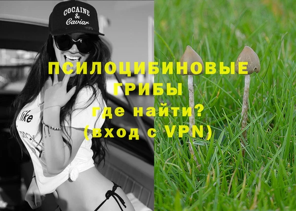 трава Бронницы
